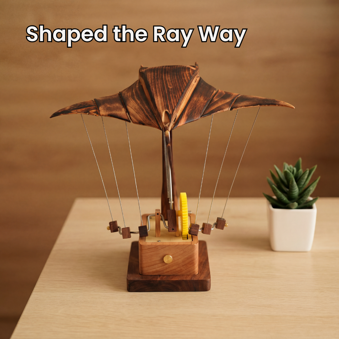 Handmade Manta Model – Rays Workshop