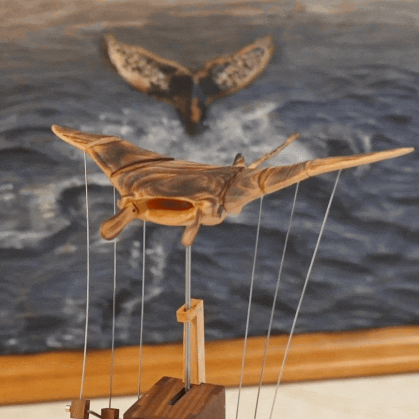 Handmade Manta Model – Rays Workshop